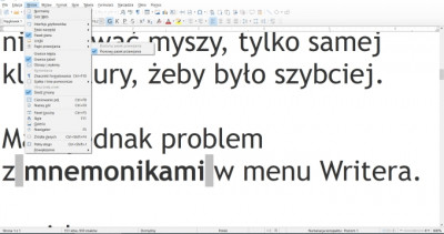 pasek_przewijania_poziomy_BRAK_w_Menu_Widok_6_.jpg